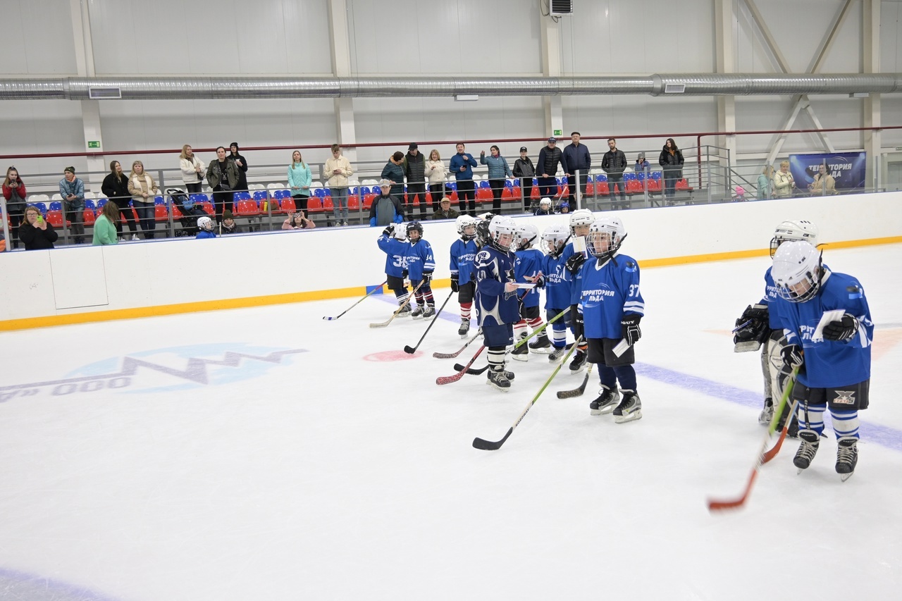 Ледовый хоккейный комплекс «Территория льда», г.Амурск, Хабаровский край